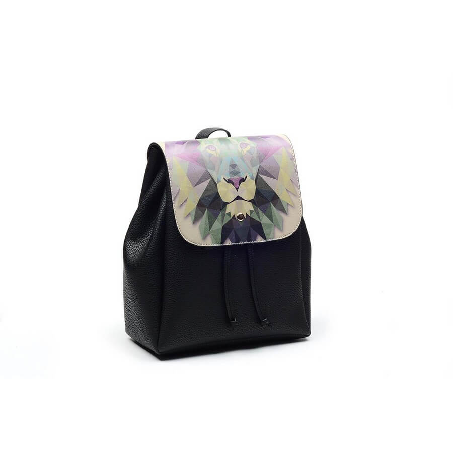 Backpack CAN1105