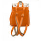 Backpack CAN2618