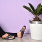 Black Piano Keys Clogs CAL311 (737682096224)